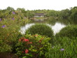 Japanese Garden