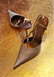 Ladies' shoes on heels on a gold background