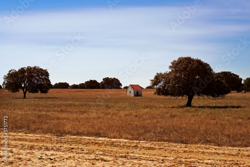 Portugal - Alentejo landscape