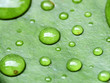 Foto: waterdrops waterdrops
