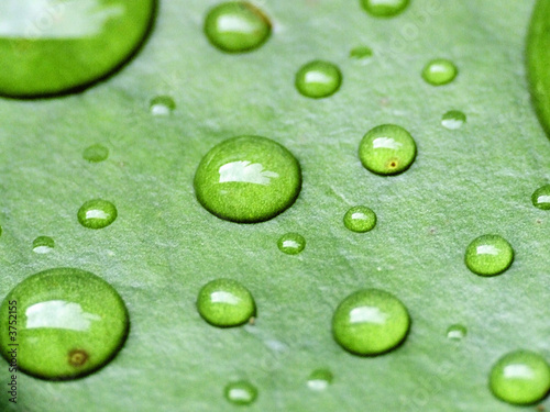 Foto: waterdrops waterdrops