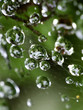 Foto: waterdrops waterdrops