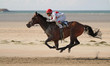 Cheval au galop Cheval au galop