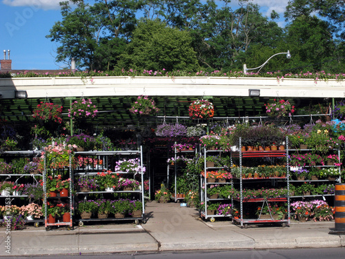Photo: Outdoor garden centre Outdoor garden centre
