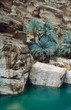Palmen im Wadi Shab Palmen im Wadi Shab