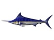 Marlin Marlin