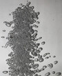 bubbles in water