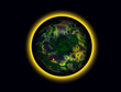 illustration of a strange planet in black sky