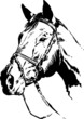 Horse Head Vector