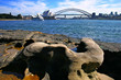 Sydney Opera House and Harbour Bridge..