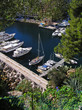 Yachts in the beautiful harbour of Monaco