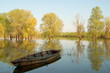 The old wooden boat in the river The old wooden boat in the river