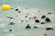 Foto: Triathlon Annecy Photo2 Triathlon Annecy Photo2
