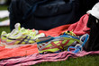 Triathlon Annecy Photo 25