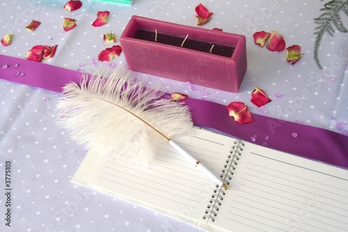 Photo: pink notebook and a feather pen on a wedding guest table pink notebook and a feather pen on a wedding guest table