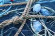 filet de pêche filet de pêche