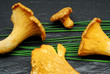 Pfifferlinge