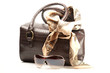 Foto: Brown bag, spectacles and scarf on the white background Brown bag, spectacles and scarf on the white background