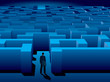 Photo en ligne au meilleur prix Maze of problems and choices to reach a success