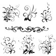 black and white floral elements