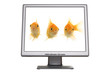 Gold fish on the Flat panel lcd computer monitor.. Gold fish on the Flat panel lcd computer monitor..