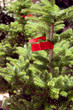 Weihnachtsbaum Weihnachtsbaum