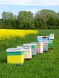  beehive