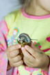 Snail Snail