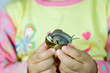 Snail Snail