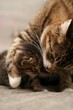 mother and child