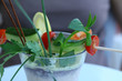 Terrine de crabe