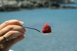 Framboise