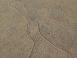 Sand Tracings on Beach, Low Tide
