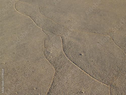 Photo: Sand Tracings on Beach, Low Tide Sand Tracings on Beach, Low Tide
