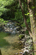 Leiza river. Leizaran Valley, Spain