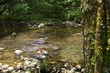 Leitza river. Leitzaran Valley, Spain