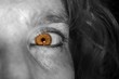 Brown eye