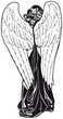 ange de dos noir blanc