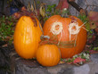 citrouilles