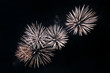 much flashes to form miscellaneous and colour in the night