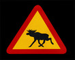 scandinavian traffic sign warning for moose/elk