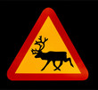 red traffic warning sign for reindeers