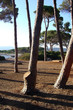 provence cote d'azur mediterranee iles lerins