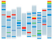 DNA clear