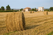 Hay rolls in the afternoon light Hay rolls in the afternoon light
