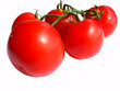 A bunch of tomato's  80062