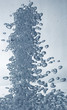 bubbles in water