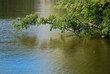 Uferlandschaft Uferlandschaft