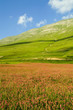 valle