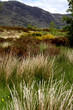 Die Farben der Highlands Die Farben der Highlands